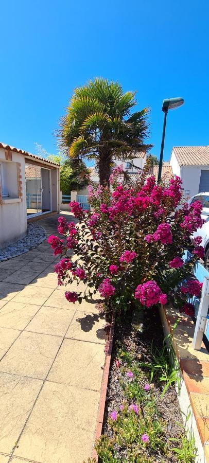 Talmont-Saint-Hilaire La Maraichine, Maison Bord De Mer, 3 Chambres, Jardin, Piscine Partagee Du Domaine מראה חיצוני תמונה